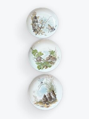 3 Kaiser West Germany Porcelain Bird Plates